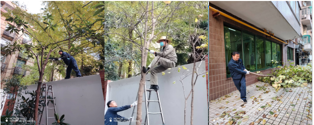 企业微信截图_17321762882282.png