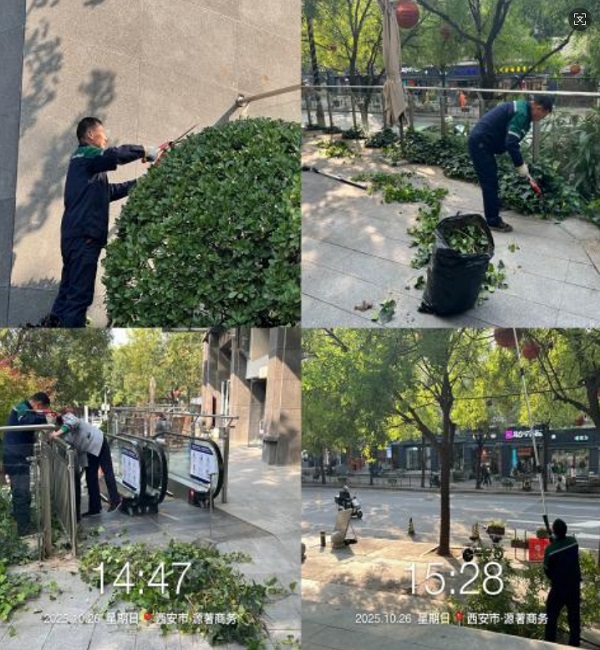 1762999341202099.jpg 企业微信截图_17629993056549.jpg